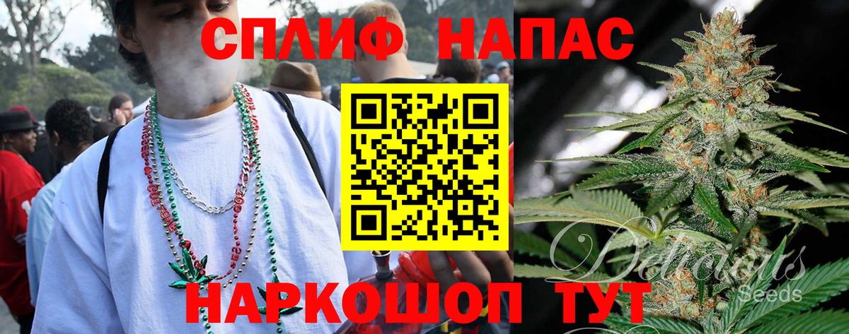 Бошки марихуана White Widow  Вход с VPN  Буйнакск  Канабис White Widow  Конопля THC 21% 